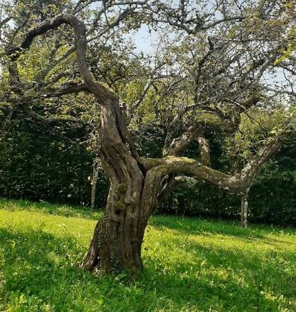 Вилла Maison Chaleureuse Et Ecologique Coyriere Экстерьер фото