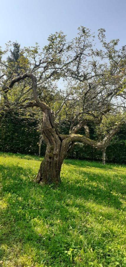 Вилла Maison Chaleureuse Et Ecologique Coyriere Экстерьер фото